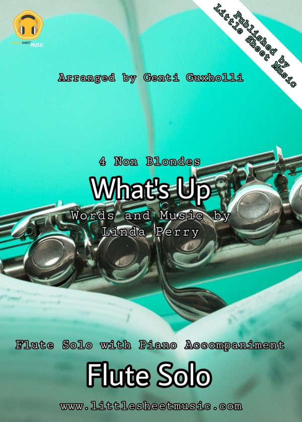 4 Non Blondes - What's Up (Flute Solo)