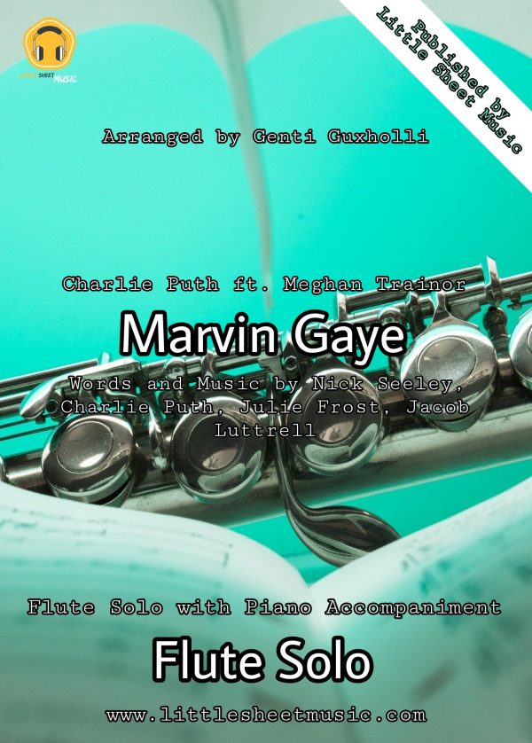 Charlie Puth ft. Meghan Trainor - Marvin Gaye (Flute Solo)