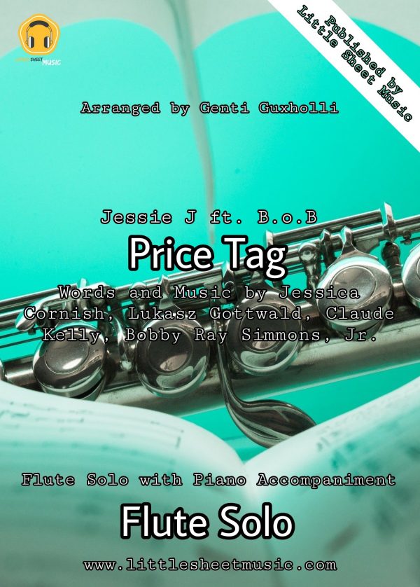 Jessie J ft. B.o.B - Price Tag (Flute Solo)