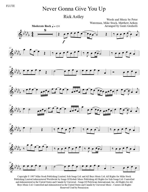 Rick Astley - Never Gonna Give You Up (Flute Solo) - Image 3
