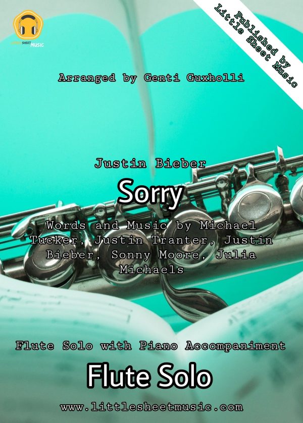 Justin Bieber - Sorry (Flute Solo)