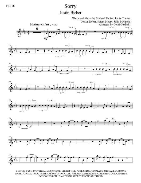 Justin Bieber - Sorry (Flute Solo) - Image 3