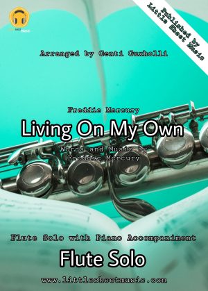 Freddie Mercury - Living On My Own (Flute Solo)
