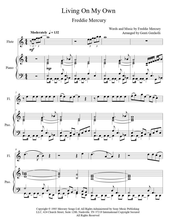Freddie Mercury - Living On My Own (Flute Solo) - Image 2