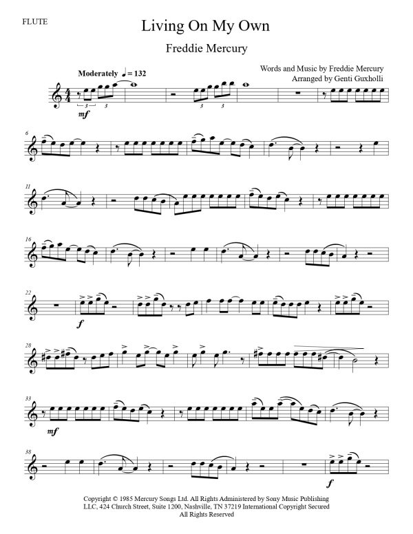 Freddie Mercury - Living On My Own (Flute Solo) - Image 3