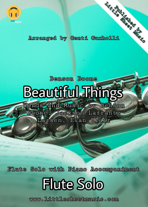 Benson Boone - Beautiful Things (Flute Solo)