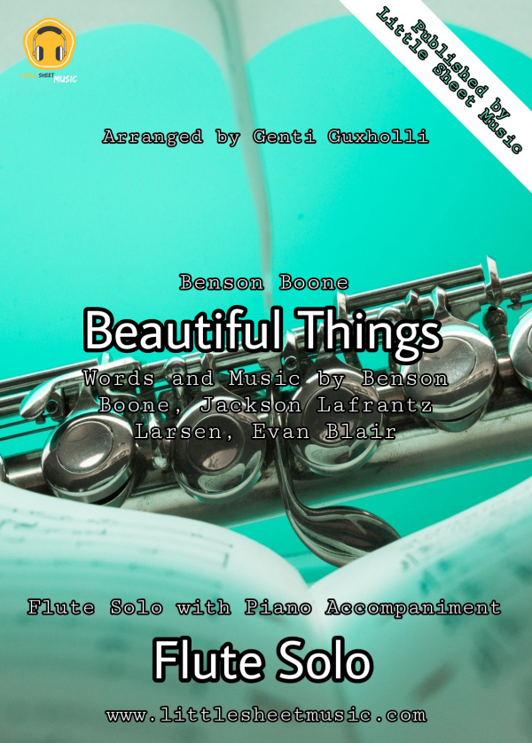 Benson Boone - Beautiful Things (Flute Solo)