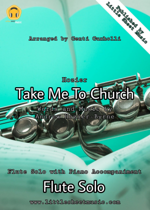 Hozier - Take Me To Church (Flute Solo)