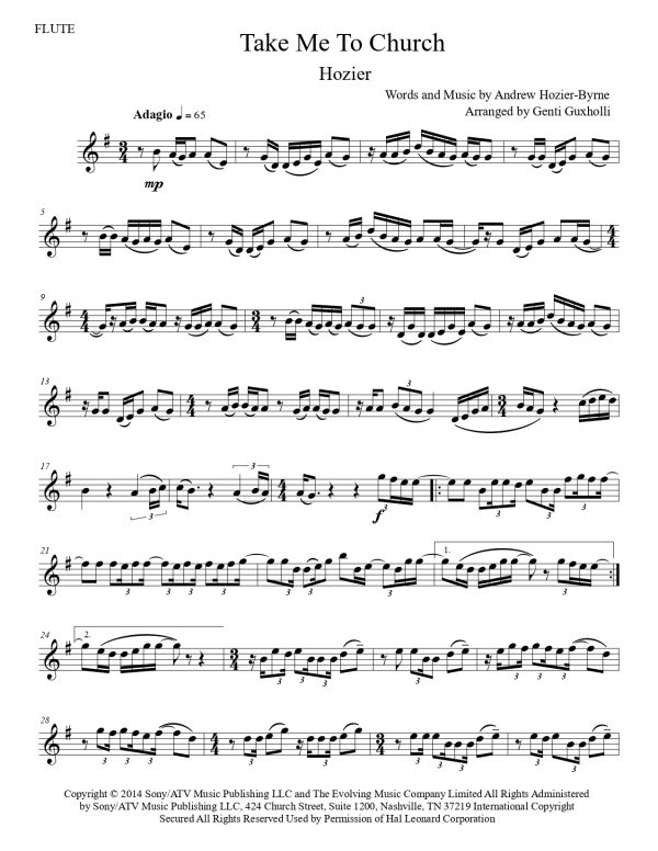 Hozier - Take Me To Church (Flute Solo) - Image 3