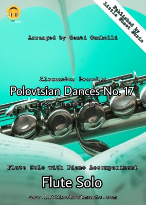 Alexnader Borodin - Polovtsian Dances No. 17 (Flute Solo)